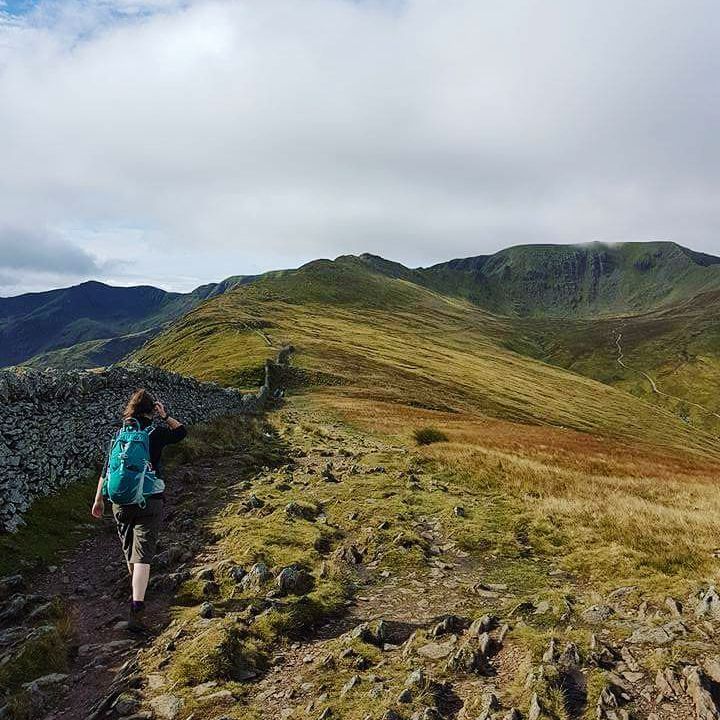 21558565_10159374491515578_5730429055723266164_n