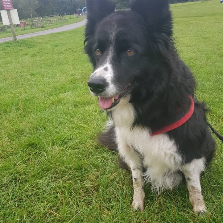 67831269_10162207267380578_2402012931903455232_n