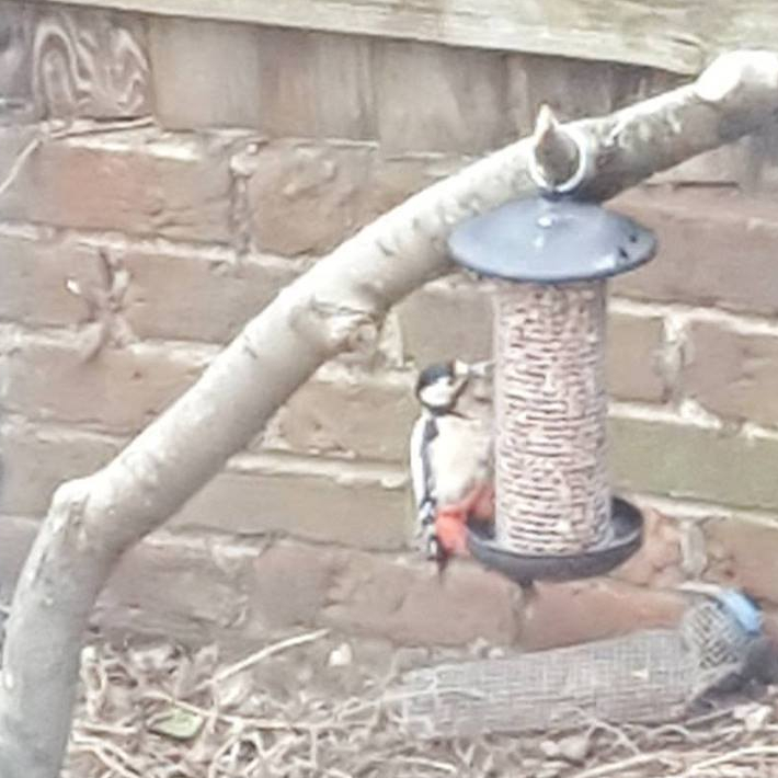 17634301_10158479668830578_6613697965822202450_n