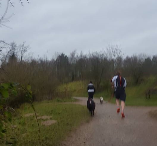 26994163_10159956139165578_4682034527760378300_n