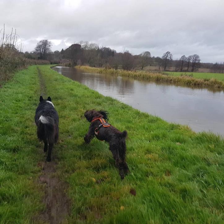 47425530_10161221202535578_8548255765503148032_n