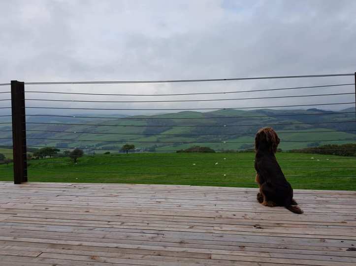 43426696_10161019721465578_7804632386368438272_n