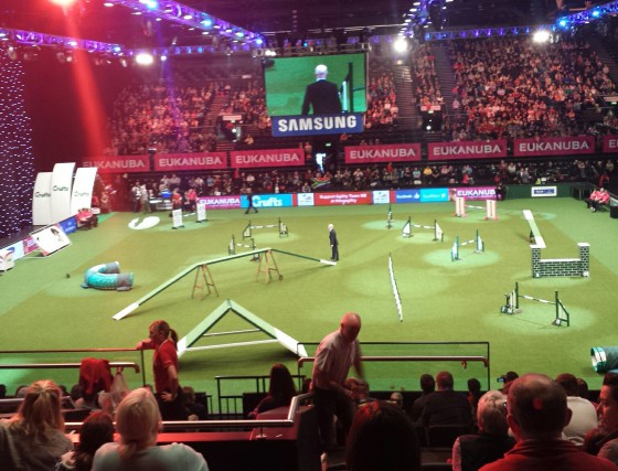 wpid-img_20150307_1401401