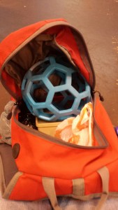 wpid-20150308_1347581