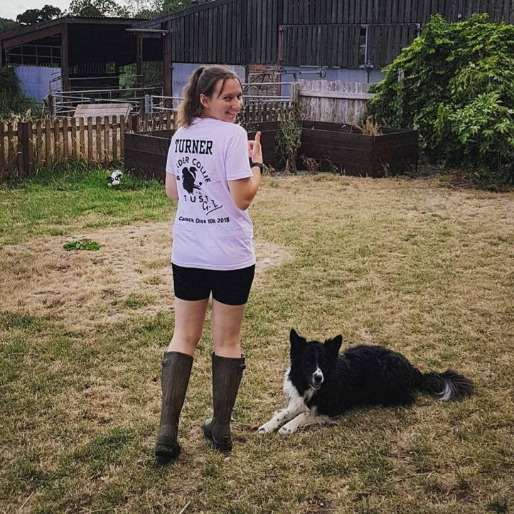 38036501_10160746914610578_596515041235173376_n