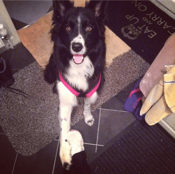 Screenshot_2015-10-16-19-41-30