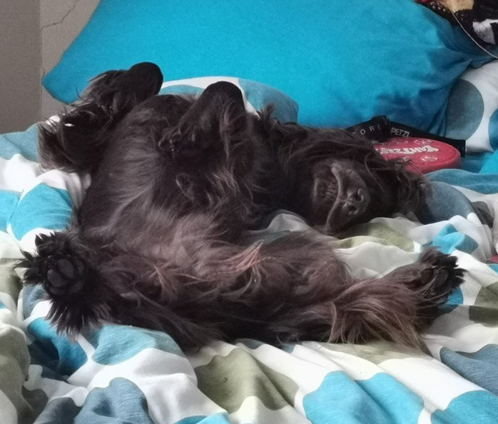 67402710_10162163538425578_6701086555940847616_n