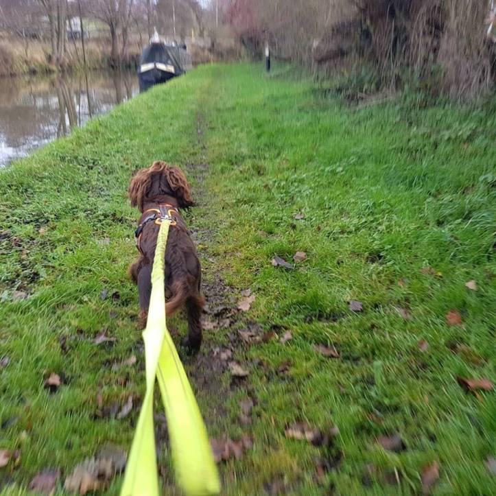 47246312_10161221202365578_7348054204339978240_n