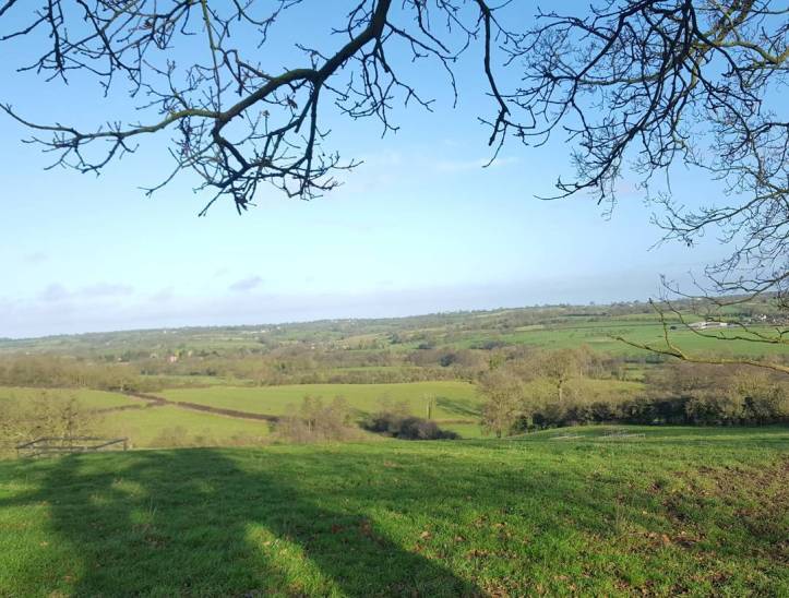 26063445_10159832924265578_9162258580911637892_o