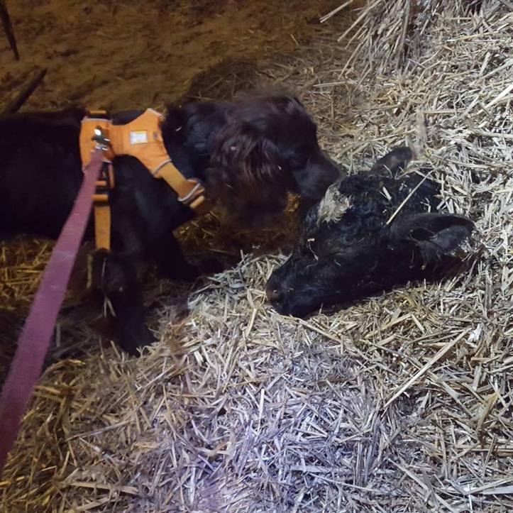 27749953_10160010692560578_6581849114179210903_n