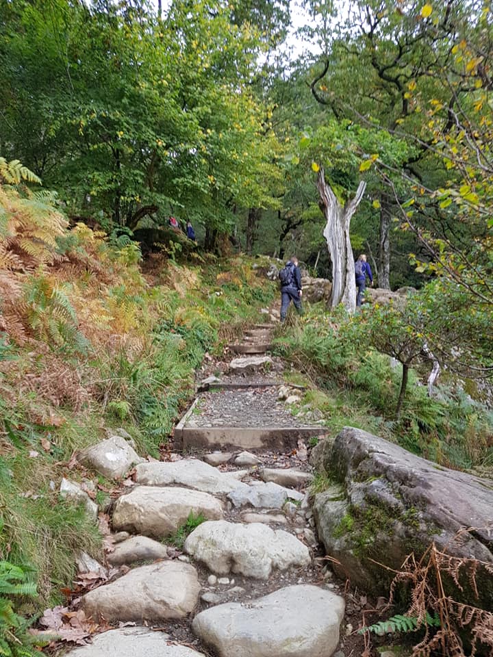 43322626_10161015419570578_2775022170022084608_n