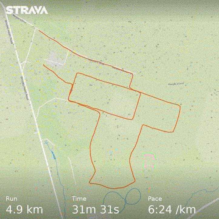 IMG_20181117_100959_458