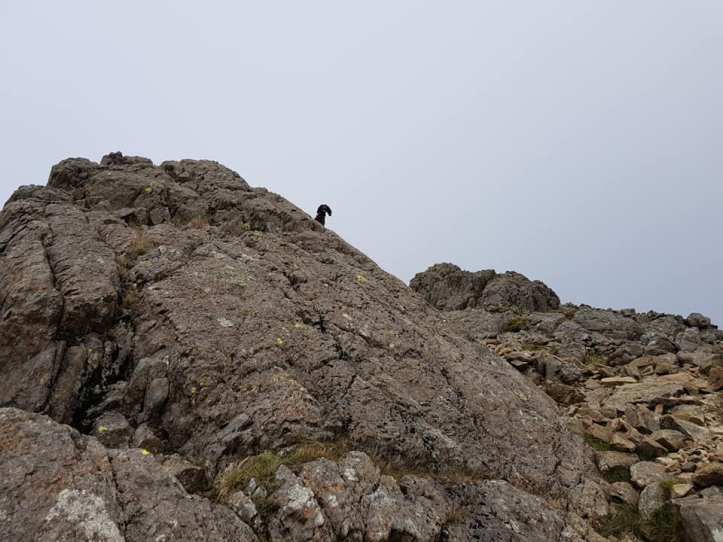 43433438_10161015425770578_6179816524233048064_n