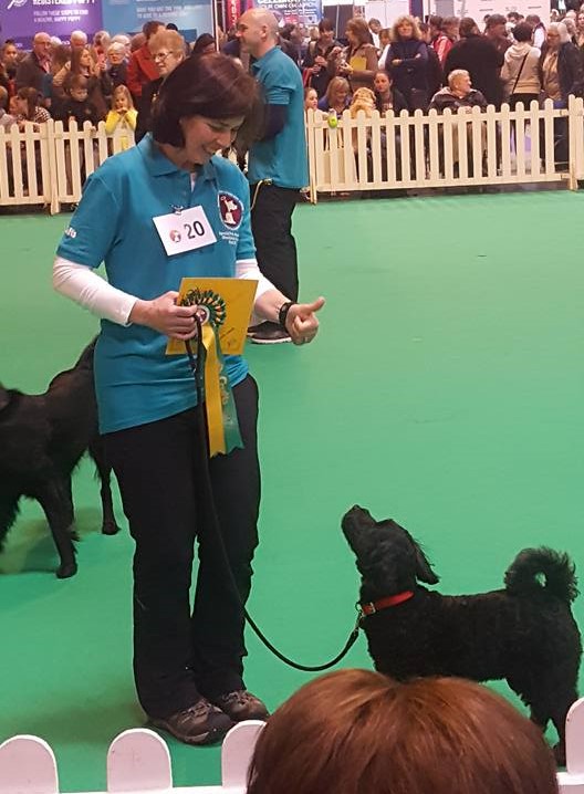 17200951_10158380712585578_690455866248688170_n