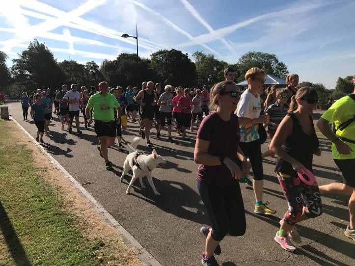 38907570_10160793168515578_31485752411947008_o