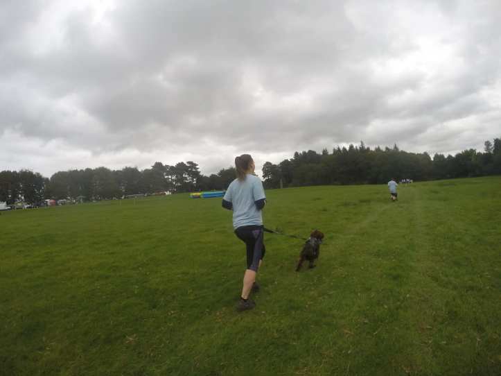 42826169_10160987357415578_2247273991897088000_o