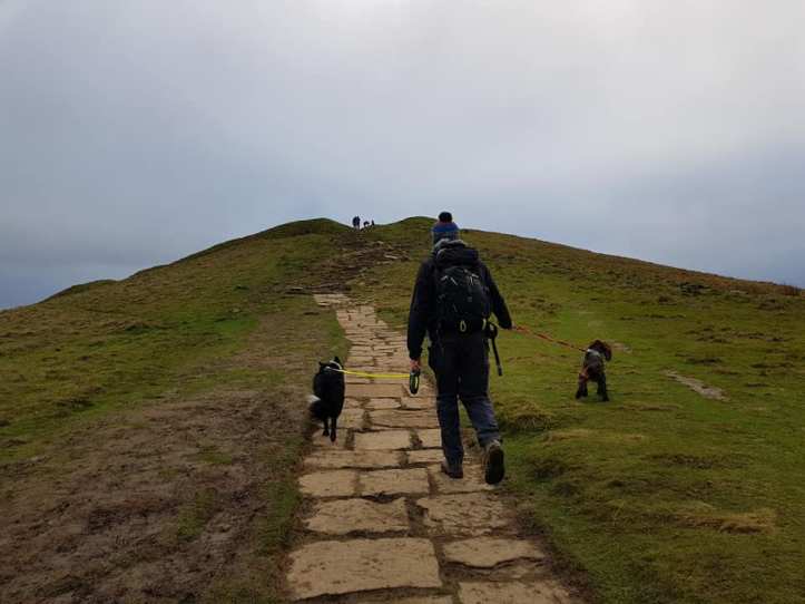 49205894_10161328796940578_8348155567054782464_n