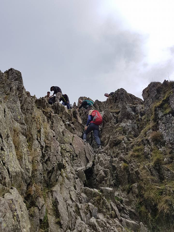 21740492_10156524974392699_8131570331135456651_n