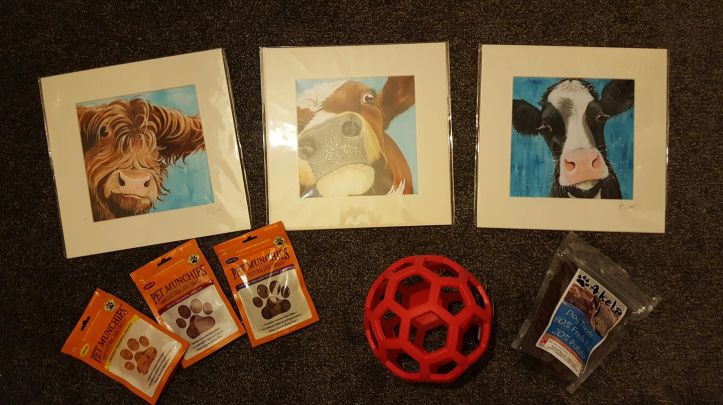 17211792_10158382160585578_511272275205656323_o