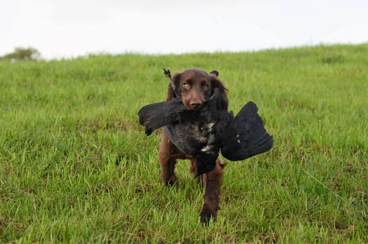 22495971_10159492476770578_654668454346209479_o