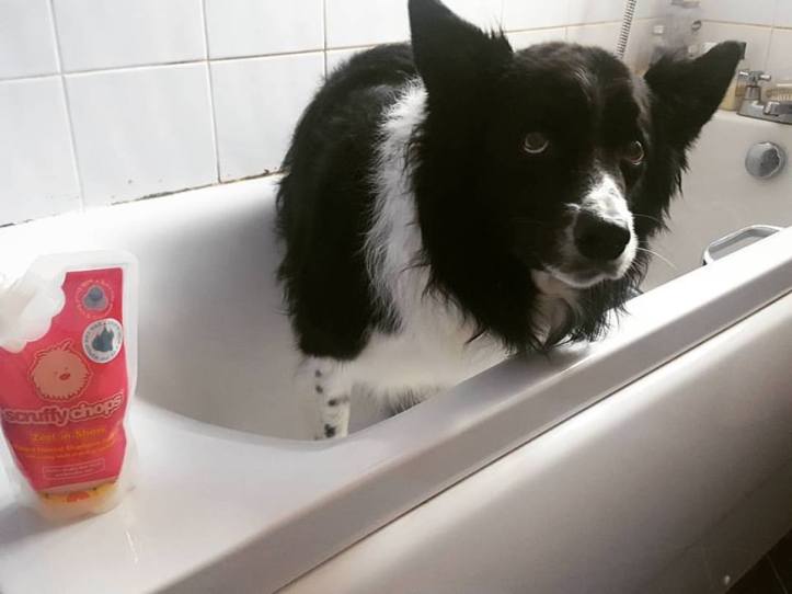 14079534_10157340668935578_6962783081872496548_n (1)