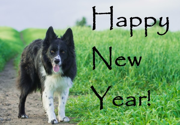 happy new year