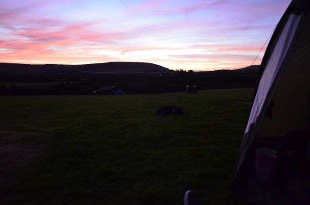 1239417_10153235124125578_1849710164_n