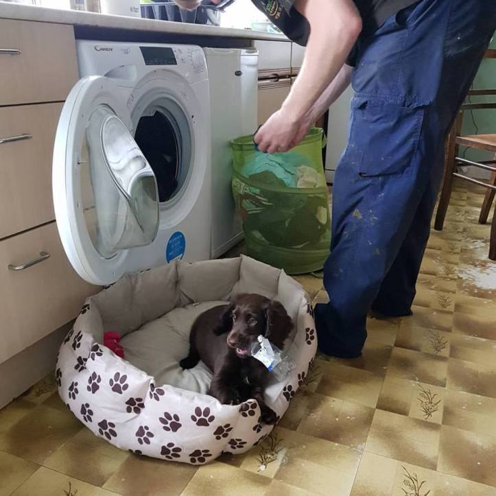 19905106_10159036508485578_4507733046417504615_n