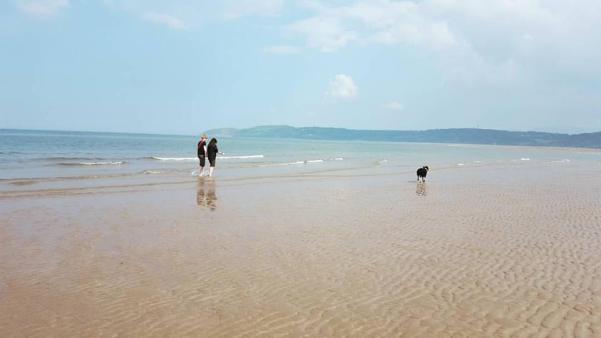 13343078_10157026463880578_5977285478194608453_n