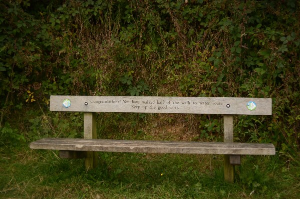 tittesworth_reservoir_dogoddity