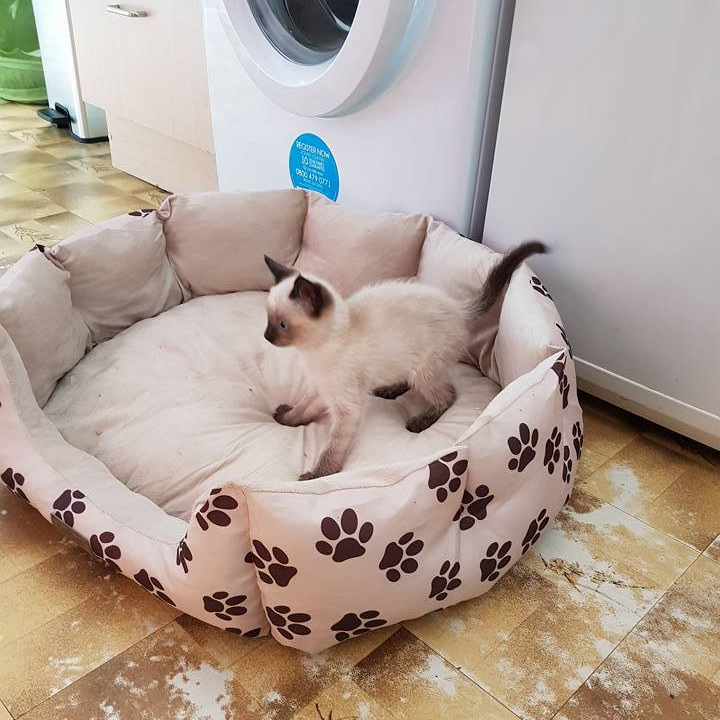 19961457_10159024275325578_8047460772561902931_n