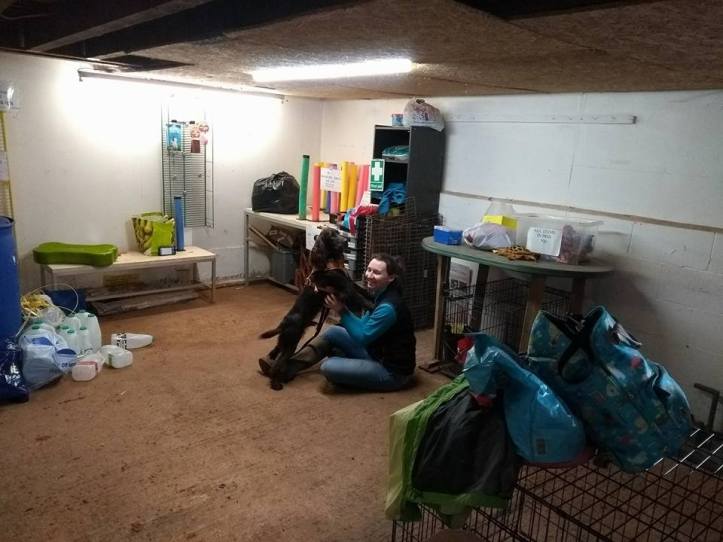 27972431_10160061072890578_6089857769431397859_n