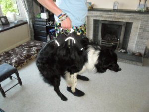 247219_10150629977800578_6608189_n