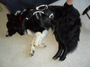 252537_10150629977690578_1452037_n