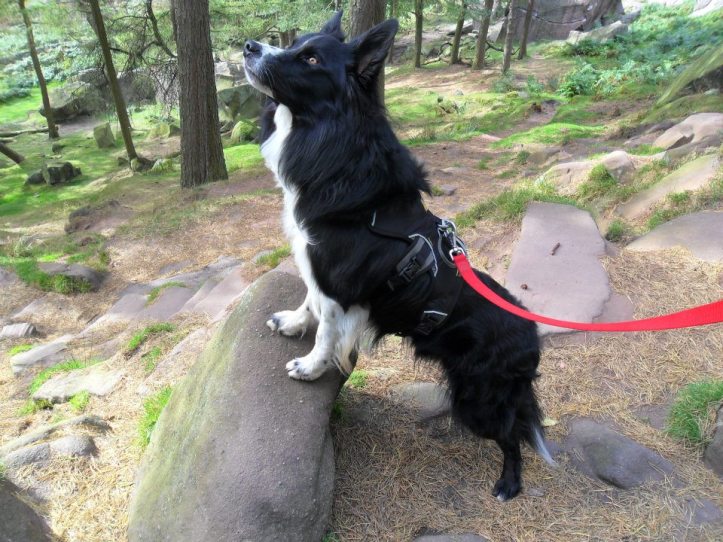 307500_10150842790900578_674205854_n