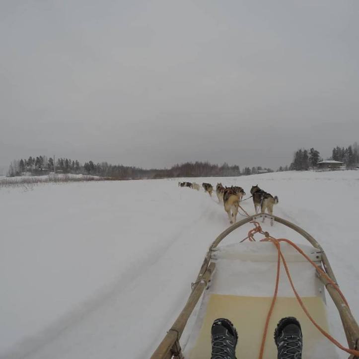 51339512_10161442518820578_6457633808010182656_n