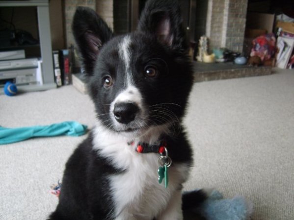 1916388_317372200577_4648314_n