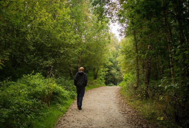 tittesworth_reservoir_dogoddity