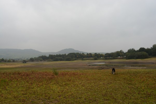 tittesworth_reservoir_dogoddity