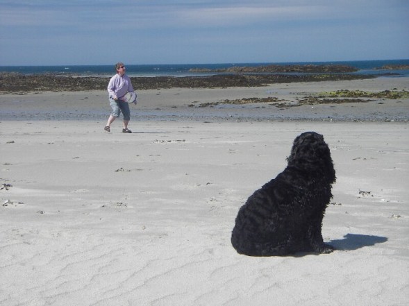 ayra, although desperate