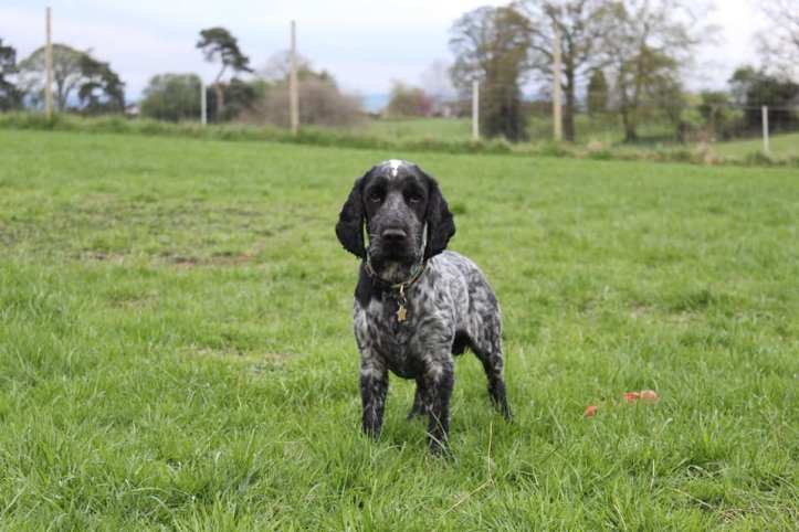 31398038_10215906679159831_9019975605510603306_n