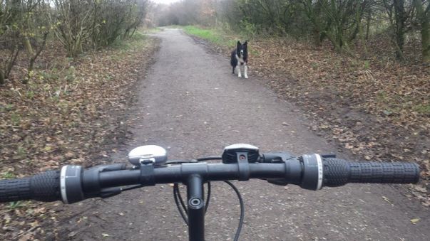 10520911_10154988218285578_7492293649106874724_n