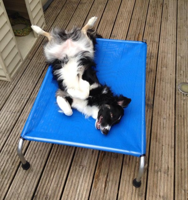 Photo credit: Nic Pagett