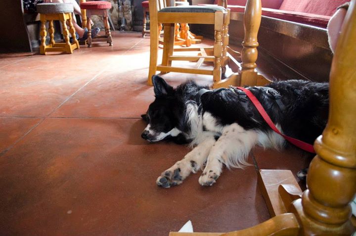 1185110_10153235152930578_2005194875_n