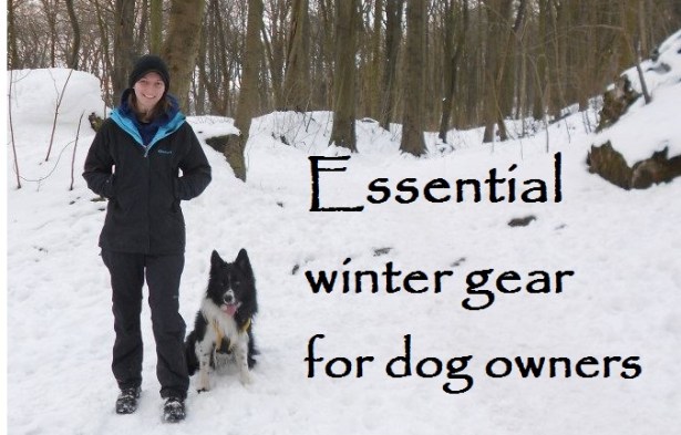 essential winter gear for dog owners