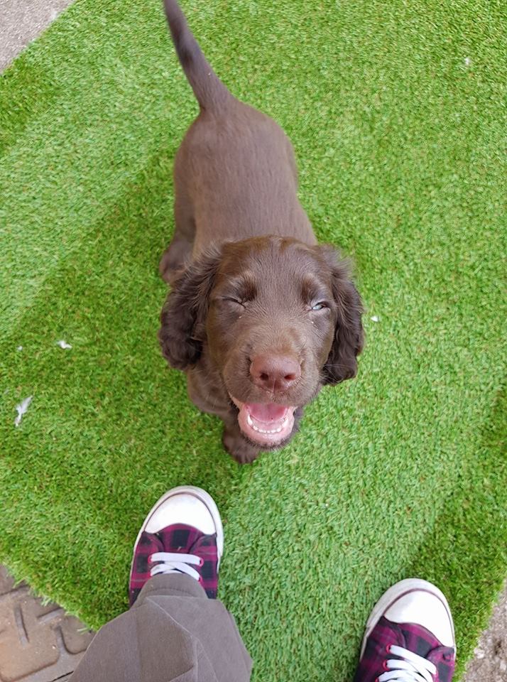 19756740_10159013394510578_4621508138622007559_n