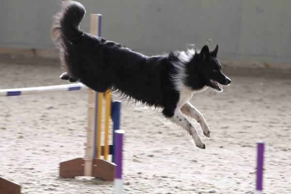 1891340_10154000840450578_206737779_o