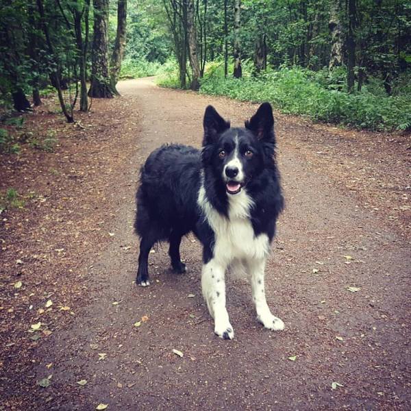 13934845_10157304587400578_5163450121190551202_n