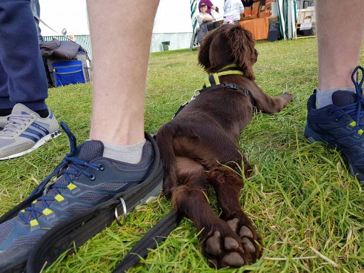 21105514_10159282535115578_5079074800107145631_n