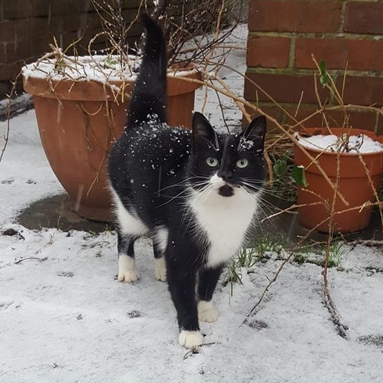 16681698_10158241623950578_4109696557948880016_n